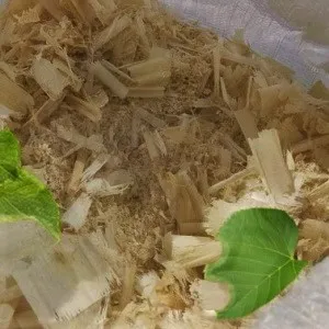 Лиственные опилки оптом в Омске от завода-производителя Лигнум Ресурс