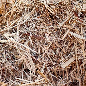 Щепа для арболита оптом в Омске и других различных марок заказать от 16 тонн