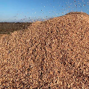 Щепа топливная оптом в Омске от завода-производителя Лигнум Ресурс